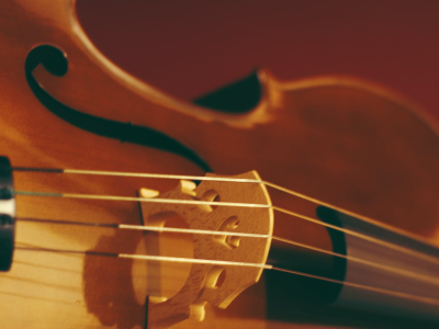 close-up of a violin